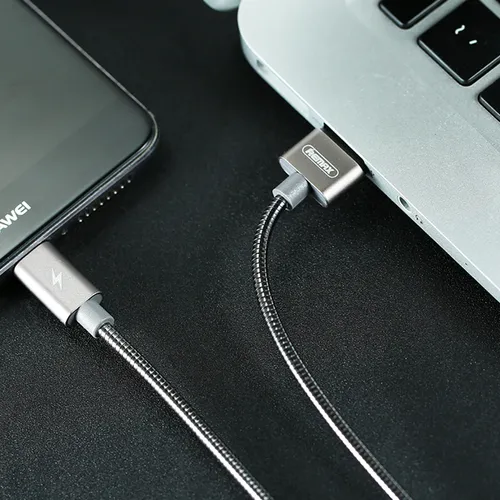 Remax RC-080A Silver Serpent Series Type-C Cable