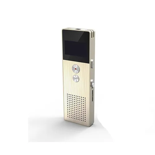 Remax Voice Recorder (RP1)