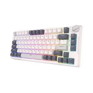 RK H81 Gasket Structured Wireless Mechanical Gaming Keyboard