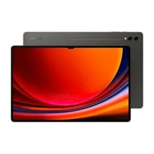 Samsung Galaxy Tab S9 Ultra WiFi 12GB RAM 256GB