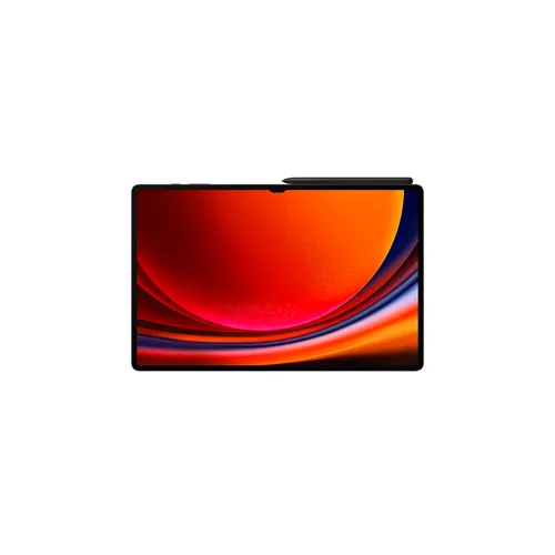 Samsung Galaxy Tab S9 Ultra WiFi 12GB RAM 512GB