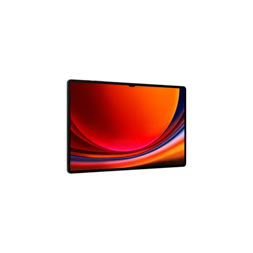 Samsung Galaxy Tab S9 Ultra WiFi 12GB RAM 512GB