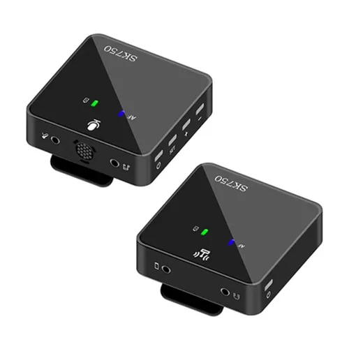 SK750 Wireless Microphone System 2 Mic