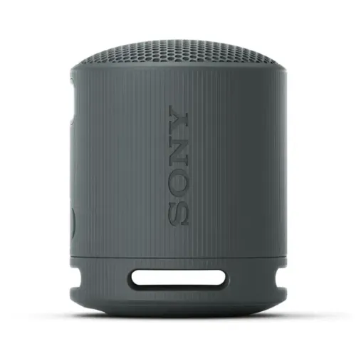 Sony SRS-XB100 Portable Wireless Speaker
