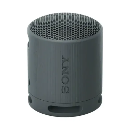 Sony SRS-XB100 Portable Wireless Speaker