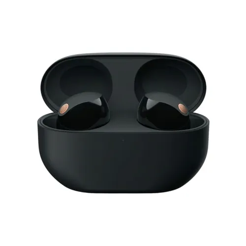 Sony WF-1000XM5 Noise-Canceling True Wireless In-Ear Headphones - Black