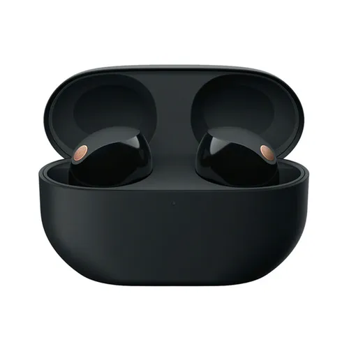 Sony WF-1000XM5 Noise-Canceling True  Wireless In-Ear Headphones