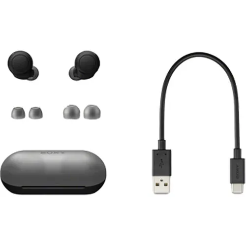 Sony WF-C500 True Wireless In-Ear Headphones