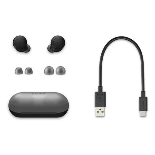 Sony WF-C500 Truly Wireless Earbuds – Black