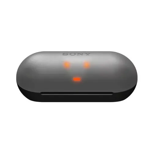 Sony WF-C500 Truly Wireless Earbuds - Black