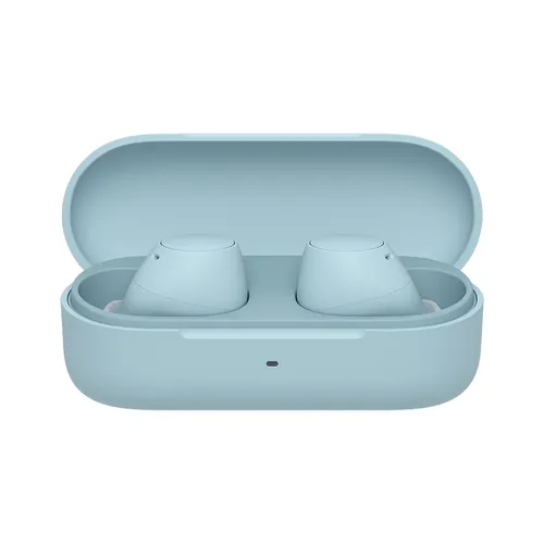 Sony WF-C510 True Wireless Earbuds
