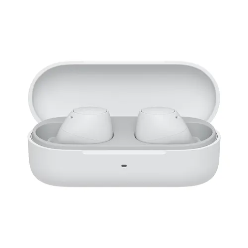Sony WF-C510 True Wireless Earbuds