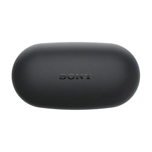 Sony WF-XB700 EXTRA BASS True Wireless Earbuds