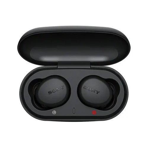 Sony WF-XB700 EXTRA BASS True Wireless Earbuds