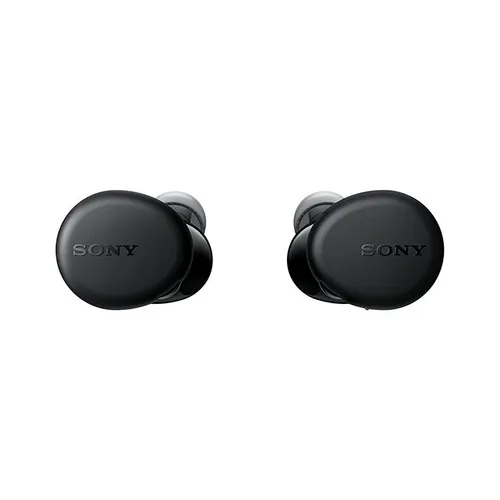 Sony WF-XB700 EXTRA BASS True Wireless Earbuds