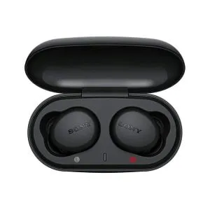 Sony WF-XB700 EXTRA BASS True Wireless Earbuds