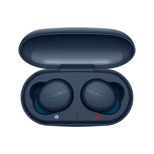 Sony WF-XB700 EXTRA BASS True Wireless Earbuds