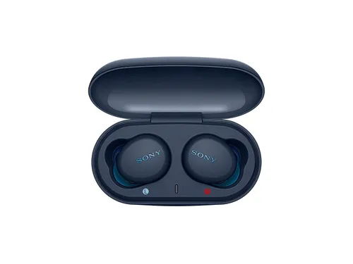 Sony WF-XB700 EXTRA BASS True Wireless Earbuds