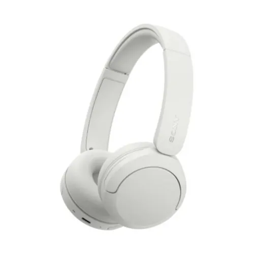 Sony WH-CH530 Wireless Headphones