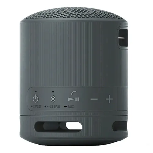 Sony XB100 Portable Bluetooth Speaker