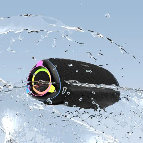 Sounarc R2 Portable Speaker