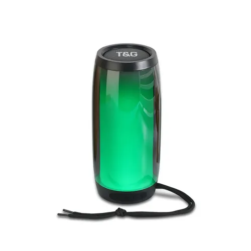 T&amp;G TG-335 Speaker