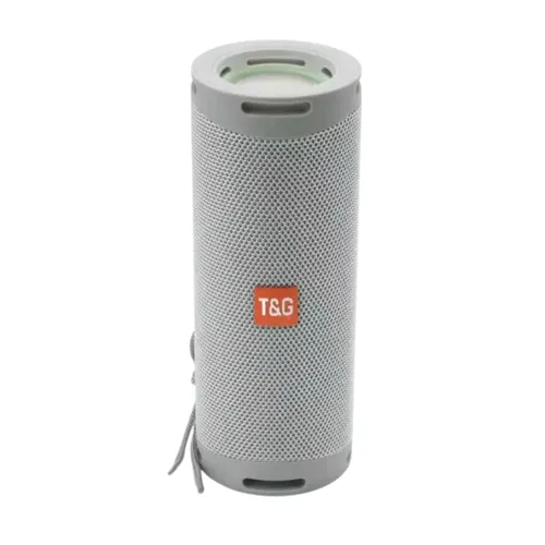 T&G TG-289 Speaker