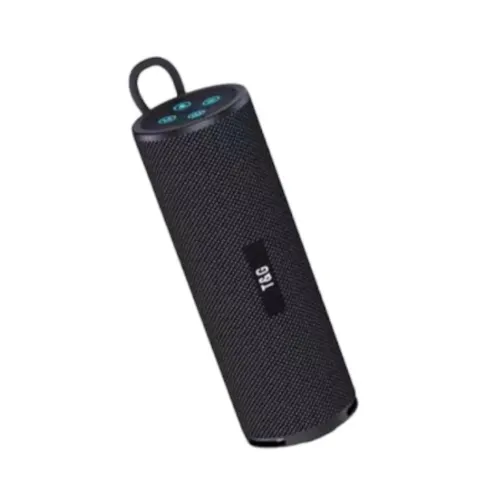 T&G TG-421 Speaker