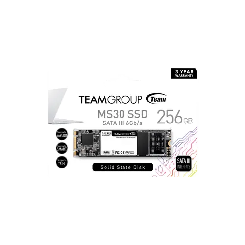 TEAM MS30 256GB M.2 SSD(3y)