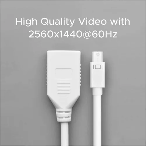 UGREEN 10445 MINI Display to Display Port Female Converter