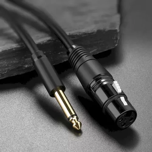 UGREEN 20719 6.5mm Mono Male to Cannon Female AV 2M Cable