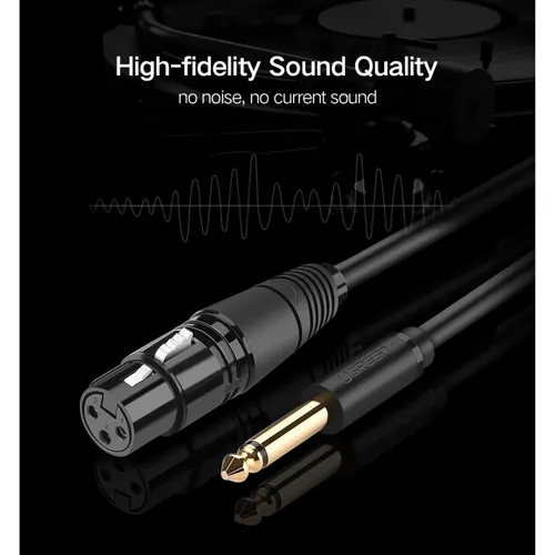 UGREEN 20719 6.5mm Mono Male to Cannon Female AV 2M Cable