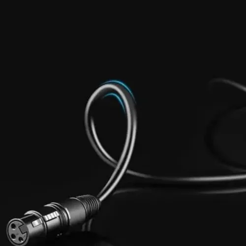 UGREEN 20719 6.5MM to Cannon Female 2M AV Cable