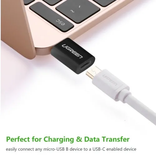 UGREEN 30391 Type-C to Micro USB OTG Adapter