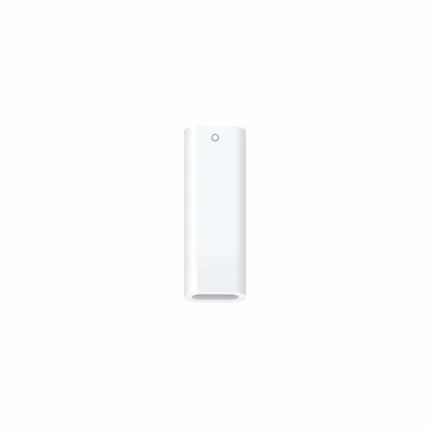 USB-C to Apple Pencil Adapter