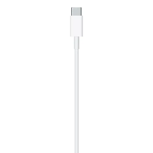 USB-C to Lightning Cable (1 m)