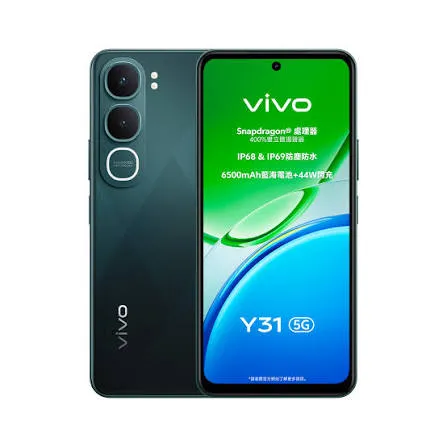 VIVO Y31 (5G) 8GB/256GB