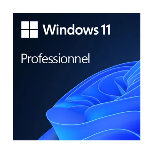 Windows 11 Professional 64bit Oei