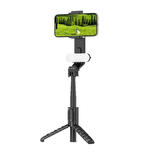 Wiwu Wi-SE013 Telescopic Tripod with Fill Light and Mini Selfie Stick