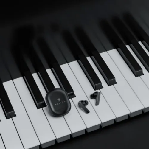 Xiaomi Haylou X1 Pro Wireless Earbuds