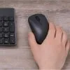 Xiaomi Mi Wireless Mouse Lite XMWXSB01YM
