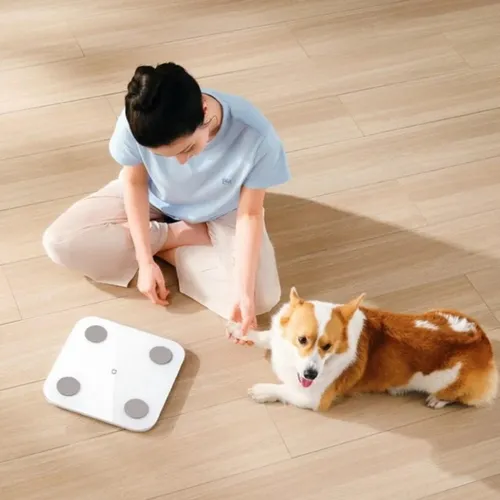 Xiaomi Mijia S400 Body Fat Scale