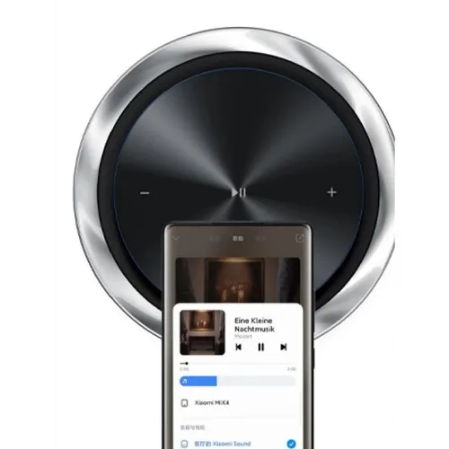 Xiaomi Sound L16A Smart Wireless Speaker