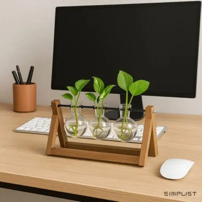 “Yama” Zen Desk Plant Propagation Tubes – Bulb Tubes